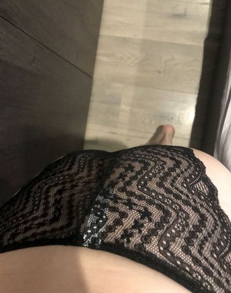 细狗网页端登录入口免费版
